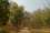 Jungle-lore-camp-corbett.JPG